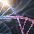 OHSU confirms first nonhuman primate model of Usher syndrome