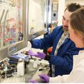 Investigadores de OHSU identifican un promisorio tratamiento de última generación contra el cáncer