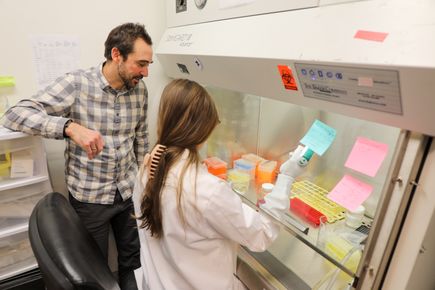 Investigadores de OHSU identifican un promisorio tratamiento de ltima generacin contra el cancer 3