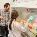 Investigadores de OHSU identifican un promisorio tratamiento de ltima generacin contra el cancer 3