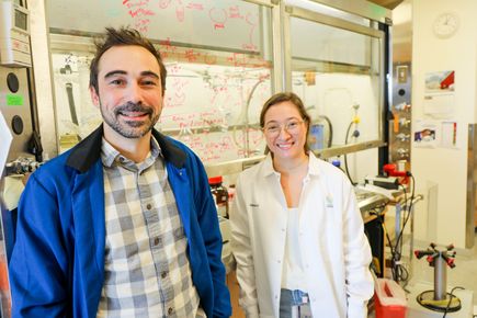Investigadores de OHSU identifican un promisorio tratamiento de ltima generacin contra el cancer 1