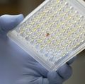 Anticuerpos monoclonales inhalables como protección contra el COVID-19