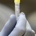 Anticuerpos monoclonales inhalables como protección contra el COVID-19