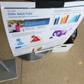 Older adult falls fact sheet