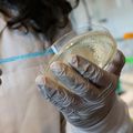 OHSU attracts nearly $600 million in research funding — a record