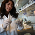 OHSU logra atraer casi $600 millones en fondos para investigación, una cifra récord