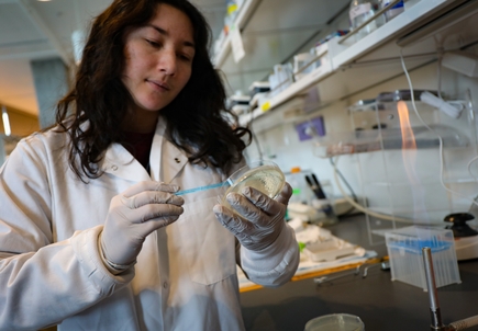 OHSU logra atraer casi $600 millones en fondos para investigación, una cifra récord