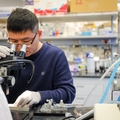 Financiamiento de la investigación de OHSU 2023 (6)