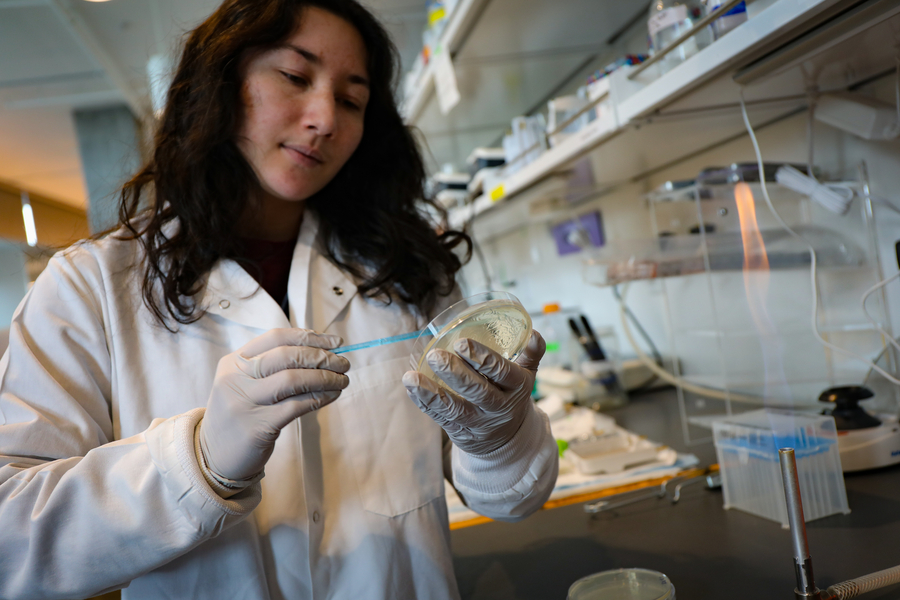 OHSU attracts nearly 600 million in research funding — a record OHSU