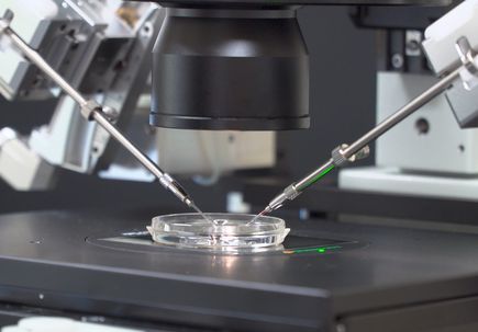 Study reveals limitations in evaluating gene editing technology in human embryos