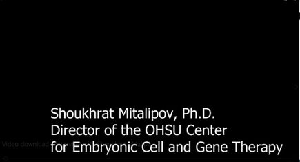 Video download - Interview with Shoukhrat Mitalipov
