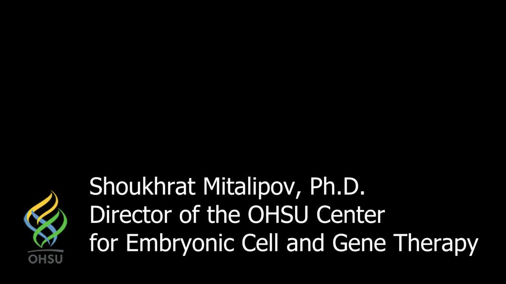 Download - Video Interview with Shoukhrat Mitalipov