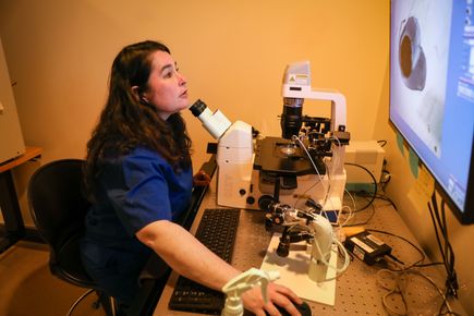 Assisted Reproductive Technology Care at ONPRC