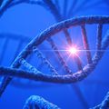 Gene mutations research