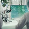 El uso crnico de marihuana afecta la salud reproductiva masculina podra reducir la funcin testicular