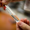 Investigacin del cltoris