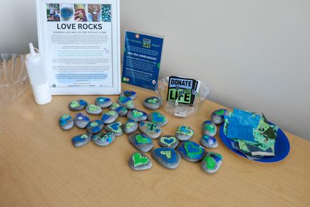 Love Rocks and Donate Life