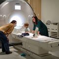 Healthy brain research