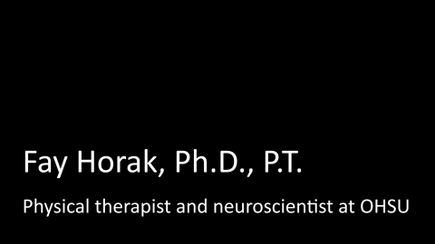 Download Interview: Fay Horak, Ph.D., P.T.