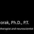 Download Interview: Fay Horak, Ph.D., P.T.