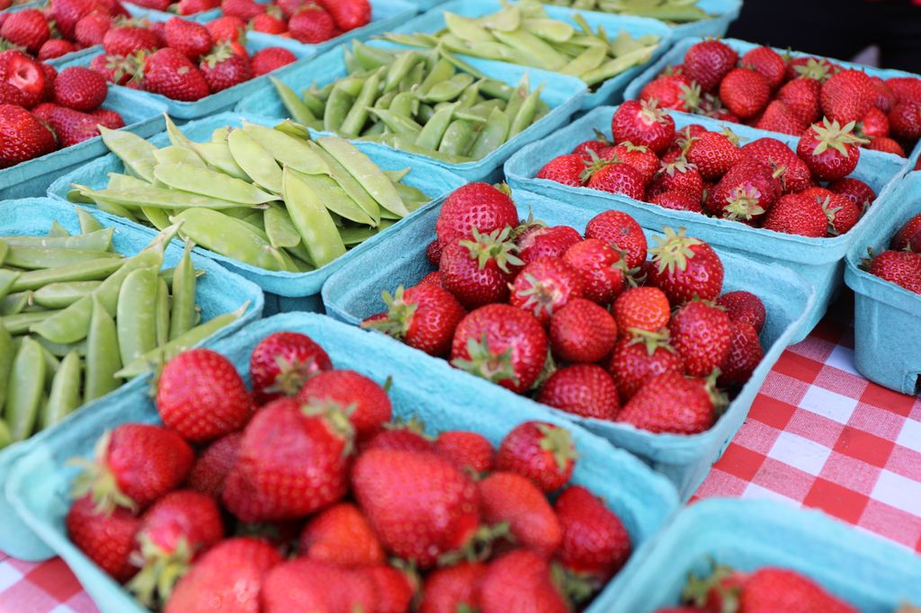 La meta de Nutrition Oregon Campaign es promover el poder de la nutrición como herramienta para terminar con las enfermedades crónicas. (OHSU/Christine Torres Hicks)