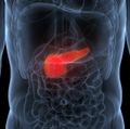 Salvar más vidas contra el cáncer de páncreas 