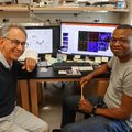 Cientficos de OHSU descubren nueva causa de la enfermedad de Alzheimer y la demencia vascular