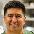Mature sperm lack intact mitochondrial DNA, study finds
