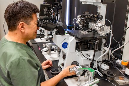 Mitalipov Lab