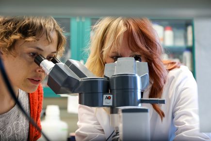 Estudio permite identificar una mutación genética que podría propiciar un mejor tratamiento de una enfermedad autoinmune 