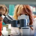 Estudio permite identificar una mutación genética que podría propiciar un mejor tratamiento de una enfermedad autoinmune 