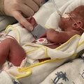Jaxson Warren