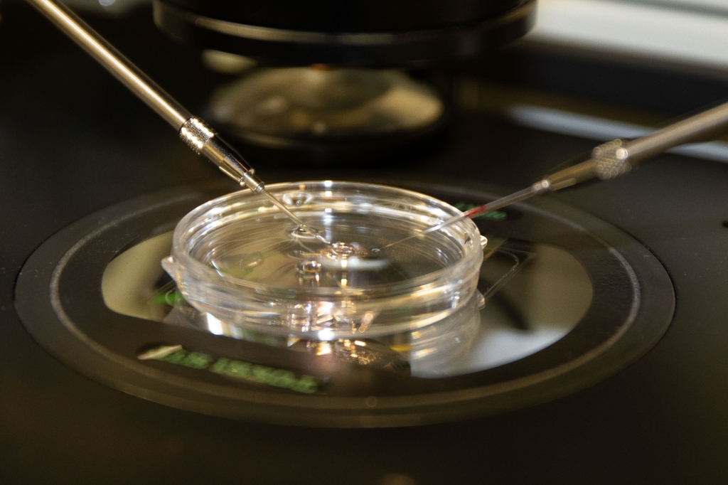 OHSU scientists and clinicians are working to advance scientific understanding of gene therapy to advance human health. (OHSU) 