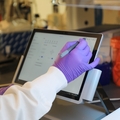 Científicos de OHSU recibieron fondos para extender investigación de vanguardia