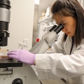 Dos investigadores de OHSU reciben el prestigioso premio  2
