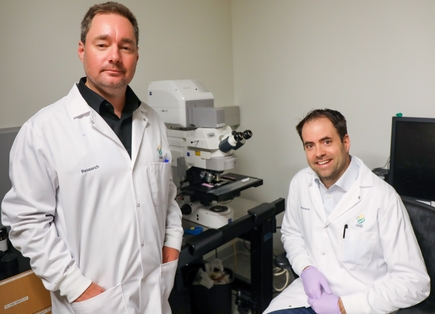 Researchers discover connection between failure to repair protective covering around nerves neuron damage