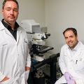 Researchers discover connection between failure to repair protective covering around nerves, neuron damage