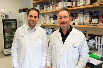 Emery lab’s research