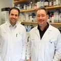 Emery lab’s research