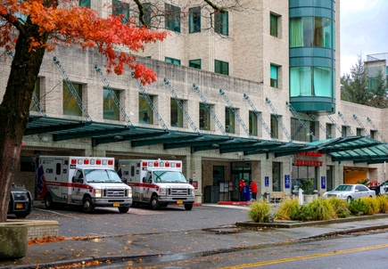 Accessing gun violence in Oregon