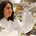 Investigando nuevos tratamientos para obtener los mejores resultados