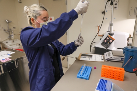 la Unidad de Investigación de Medicina Materno Fetal