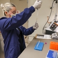 la Unidad de Investigación de Medicina Materno Fetal
