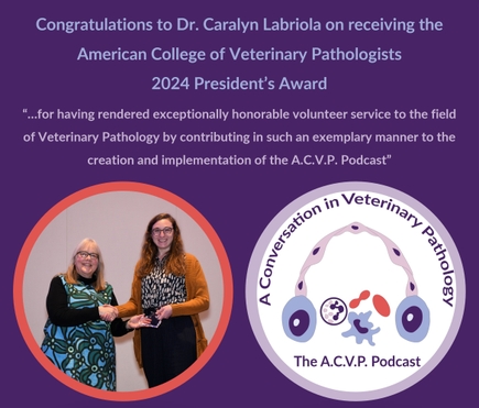 Caralyn Labriola, BVMS, Dipl. ACVP, has long brown hair, eye glasses, smiling while receiving an award plaque.