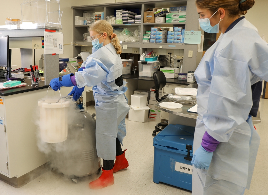 Las asistentes de investigación Olivia Hagen y Lorraine Codding trabajan en la Unidad de Investigación de Medicina Maternofetal. Conocido informalmente como el "Grupo de Investigación del Embarazo", durante los últimos 15 años su equipo ha ayudado en estudios de investigación que involucran a personas embarazadas. (OHSU/Christine Torres Hicks)