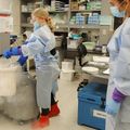 OHSU cumple 15 años de apoyar la investigación sobre el embarazo
