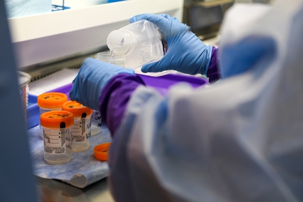 OHSU cumple 15 años de apoyar la investigación sobre el embarazo