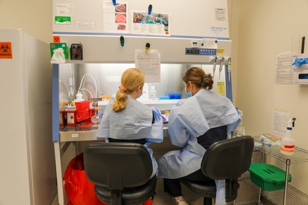 la Unidad de Investigación de Medicina Maternofetal
