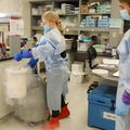 Maternal Fetal Medicine Research Unit