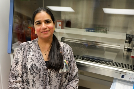 Monica Rincon, M.D., MCR (OHSU)